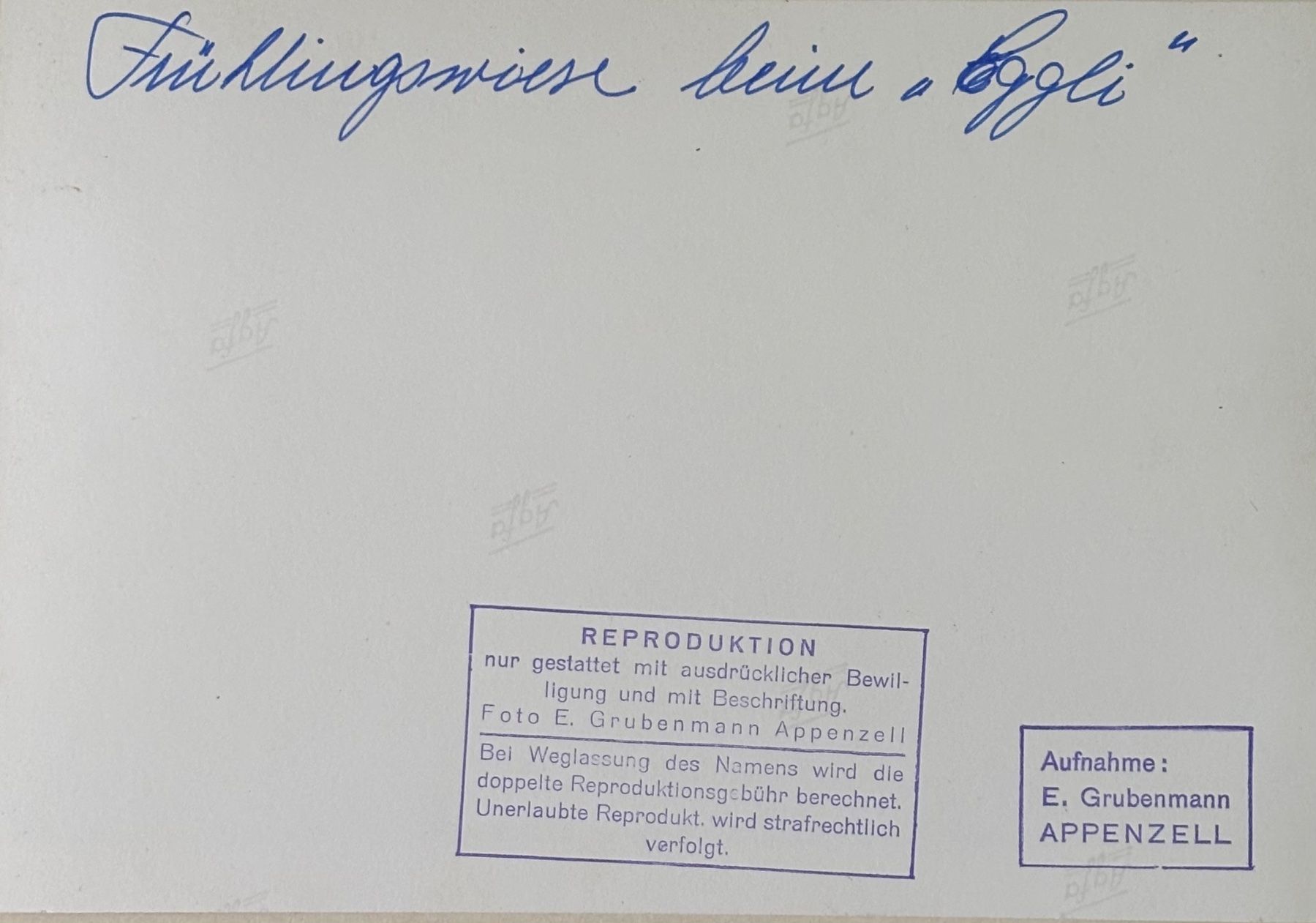 Cartoline postali: Foto E. Grubenmann, Appenzell, 12x17 cm – Usato da Frauenfeld venduto da Merk52 1