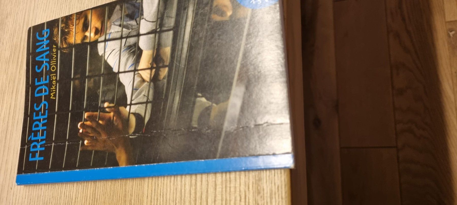 Libri: Frères de sang - Mikael Olivier – Usato da Spiegel b. Bern venduto da sus_xj97