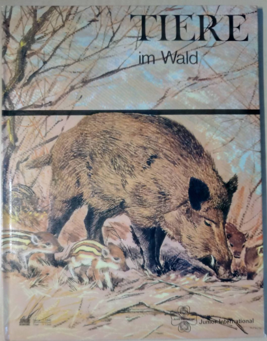 Libri: Bilderbuch "Tiere im Wald", 1968 – Usato da Guttannen venduto da zuberling