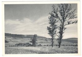 Plancement, Couvet, Colline du Gibet, vers 1945