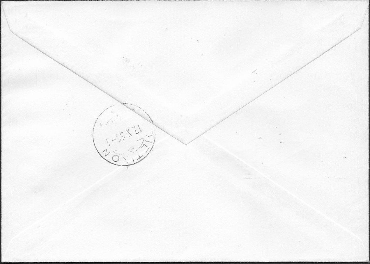 Alle Briefmarken: 1955 CHARGE Lausanne Block-AUSSCHNITTE + Normalmarke ab 1.- – Gebraucht aus Zürich von Zueri50 1