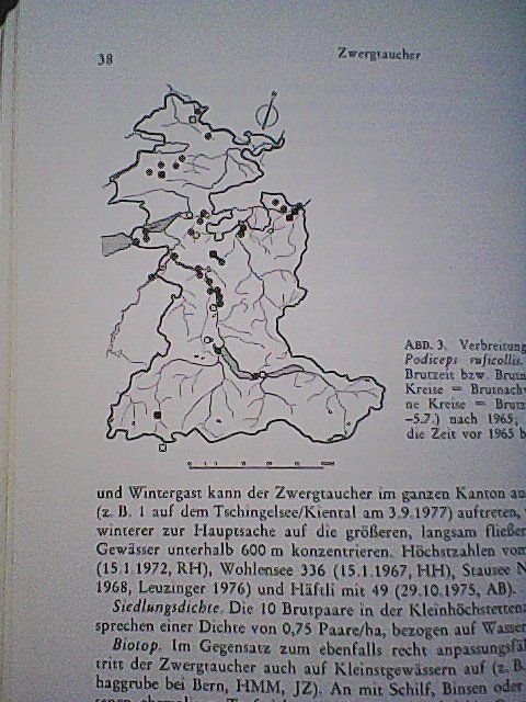 Libri: Die Vogelwelt des Kantons Bern – Usato da Rümlang venduto da Vuvuzella 2