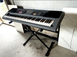 Casio WK-1200 Keyboard 🎹