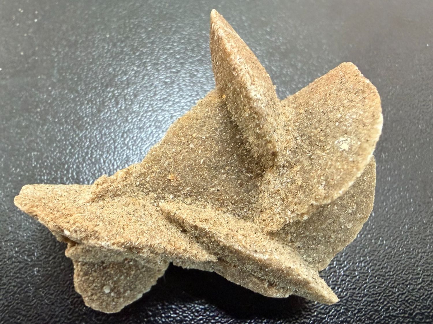 Mineralien & Heilsteine: Wüstenrose, Namibia (3.30) – Neu (gemäss Beschreibung) aus Muri b. Bern von Gemmes 2