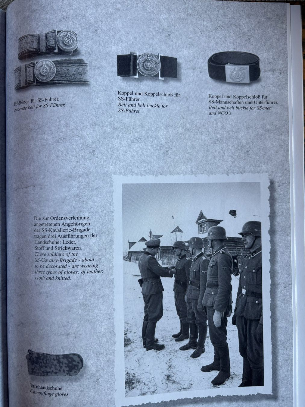 Libri: Die Waffen-SS Uniformen und Abzeichen – Usato da Volketswil venduto da zwitsch33 1