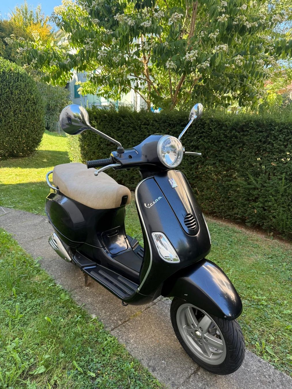 Piaggio Scooter: Piaggio Vespa LX 125 – Usato da Winterthur venduto da Alex-2026 6