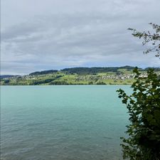 Profile image of wunderliing