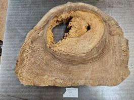 Nussbaum Holz Baumscheibe