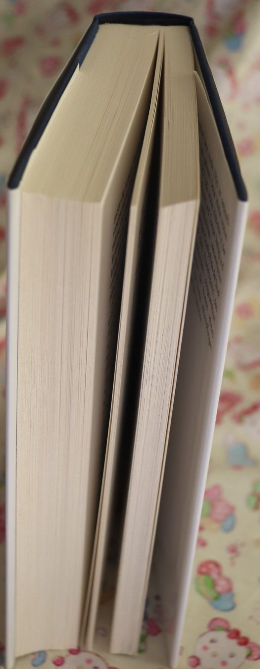 Libri: Das Fundbüro von Siegfried Lenz – Nuovo e nell'imballaggio originale da Glattfelden venduto da Vrenely 3