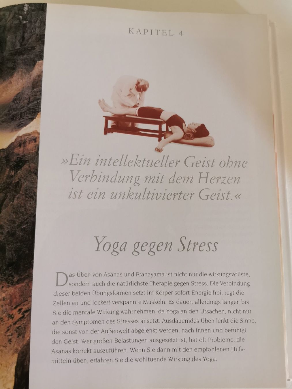 Libri: YOGA - B.K.S. Iyengar – Usato da bern venduto da jeannie2006 9