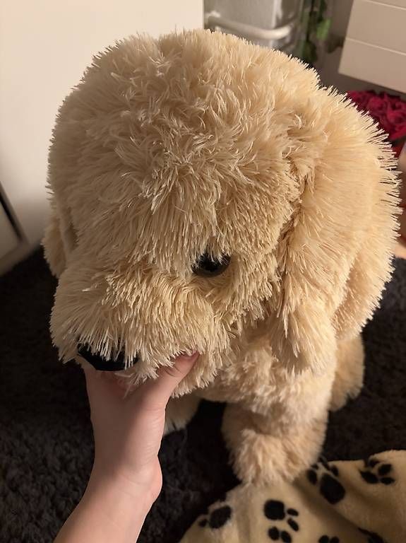 Giocattoli: Grosser Plüsch Hund   – Usato da Boswil venduto da sel_f9r5 3