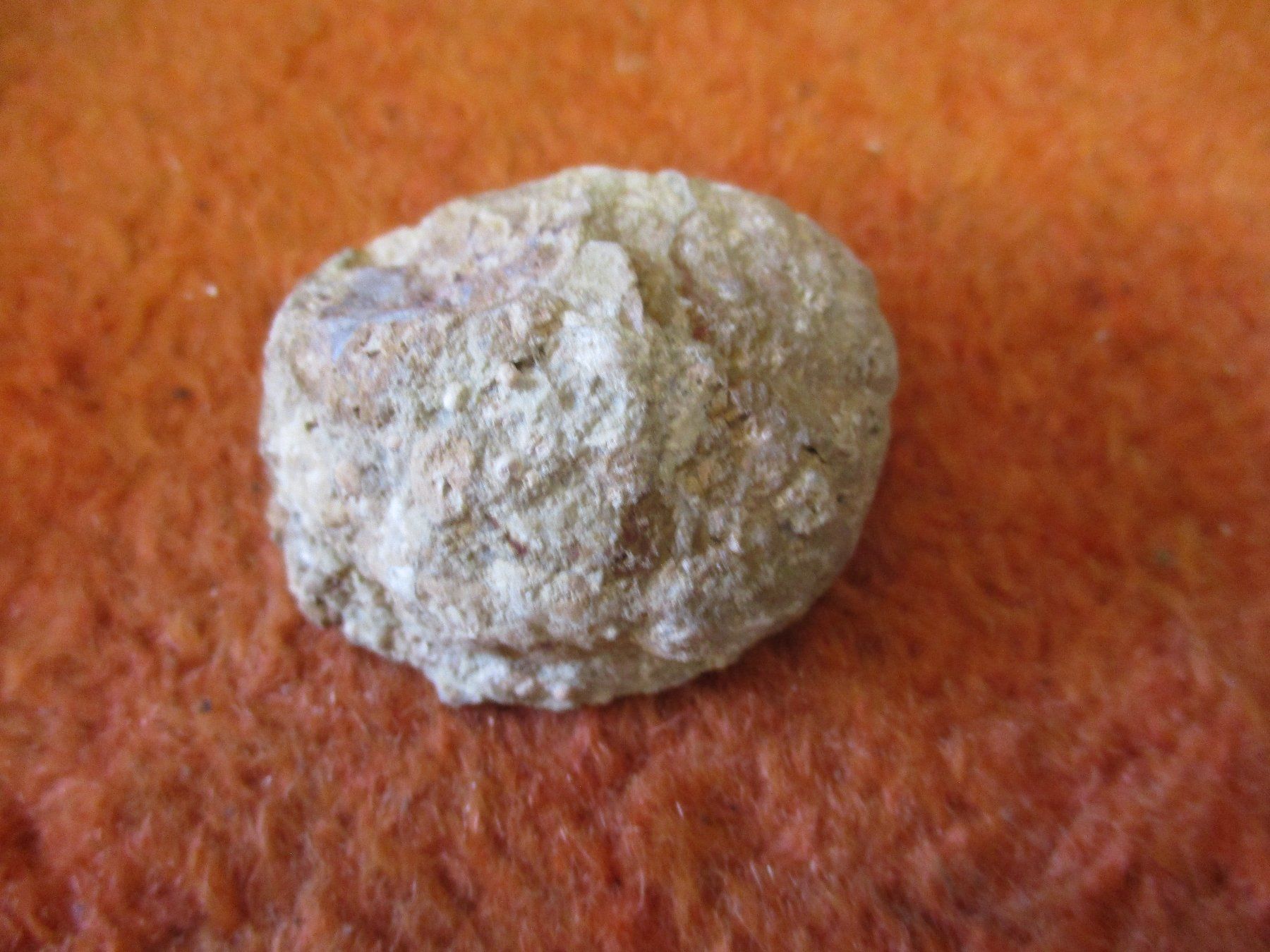 Minerali & Pietre curative: Achat Glücksgeode 8 – Nuovo (secondo la descrizione) da Weier im Emmental venduto da waefler03 1