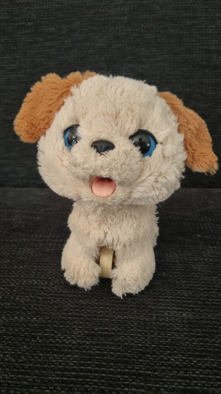 FurReal Jouets: Süsser elektrischer Plüschhund – D'occasion à Winterthur par Pigeonblanc 4