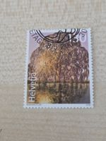 2009 alte Bäume
