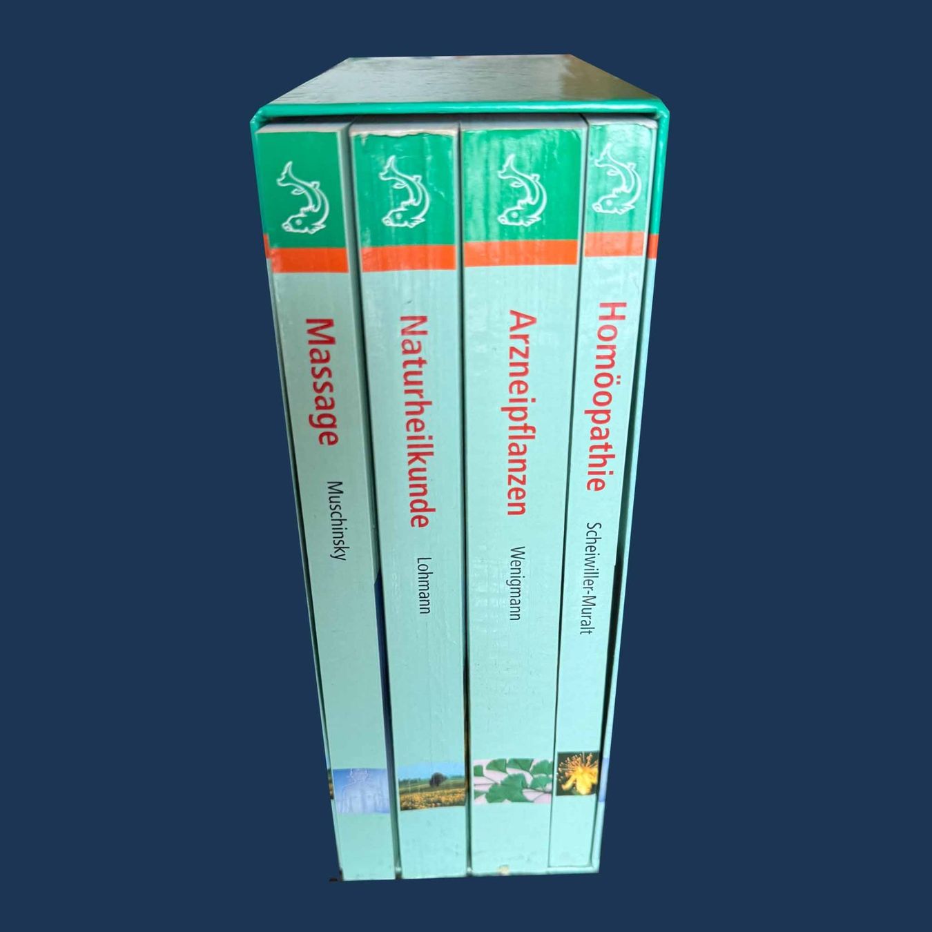 Libri: Heilpraktiker Bibliothek – Usato da Bern venduto da gubaro 1