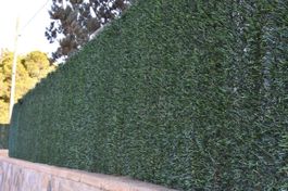 Sichtschutzhecke 3m lang 1,5m hoch neu