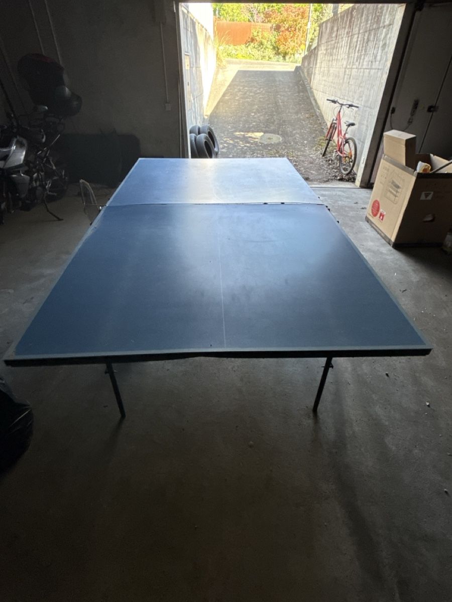 Tennis da tavolo: Defekter Pingpongtisch Schildkröt ab 1.- – Difettoso da Biel-Benken BL venduto da Dissae