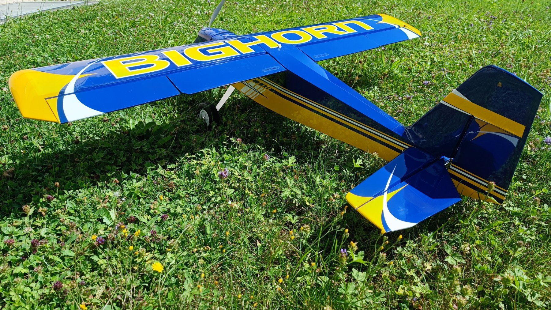 Modellismo RC: OMP Hobby Bighorn 1250mm Kunstflugzeug – Nuovo (secondo la descrizione) da Winterthur venduto da Tmaexx 2