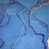 Electronic Acoustic Meeting RAFT Hans Burgener Future JazzCD