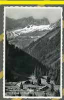  AK sw Pont de Nan VD Les Plans s. Bex,Dents de Morcles ≈194