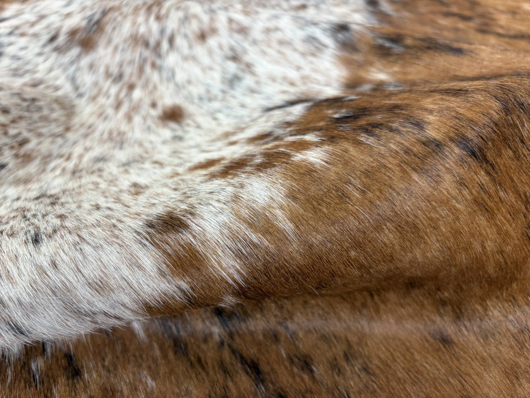 Tapis: echtes Kuhfell Teppich – Neuf avec emballage d'origine à Arbedo par patagonialeatherrugs 2