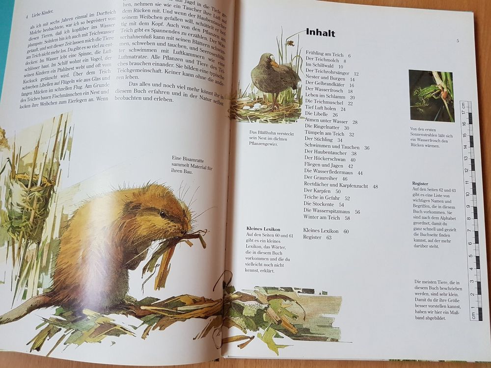 3 x DIE TIERWELT ENTDECKEN (TIERE AM TEICH / IM WALD / IM GA Kaufen