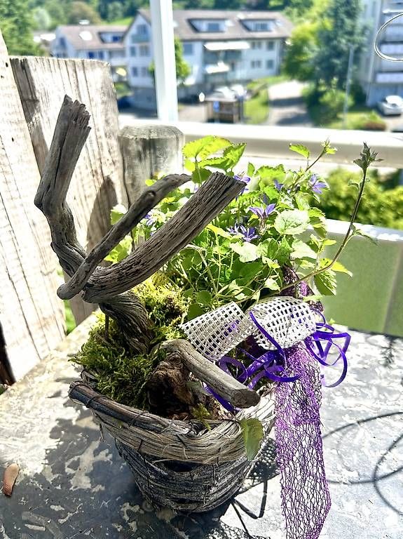 Vasi per fiori: Blumenkorb  – Usato da Frauenfeld venduto da Irene.Schuppli 4