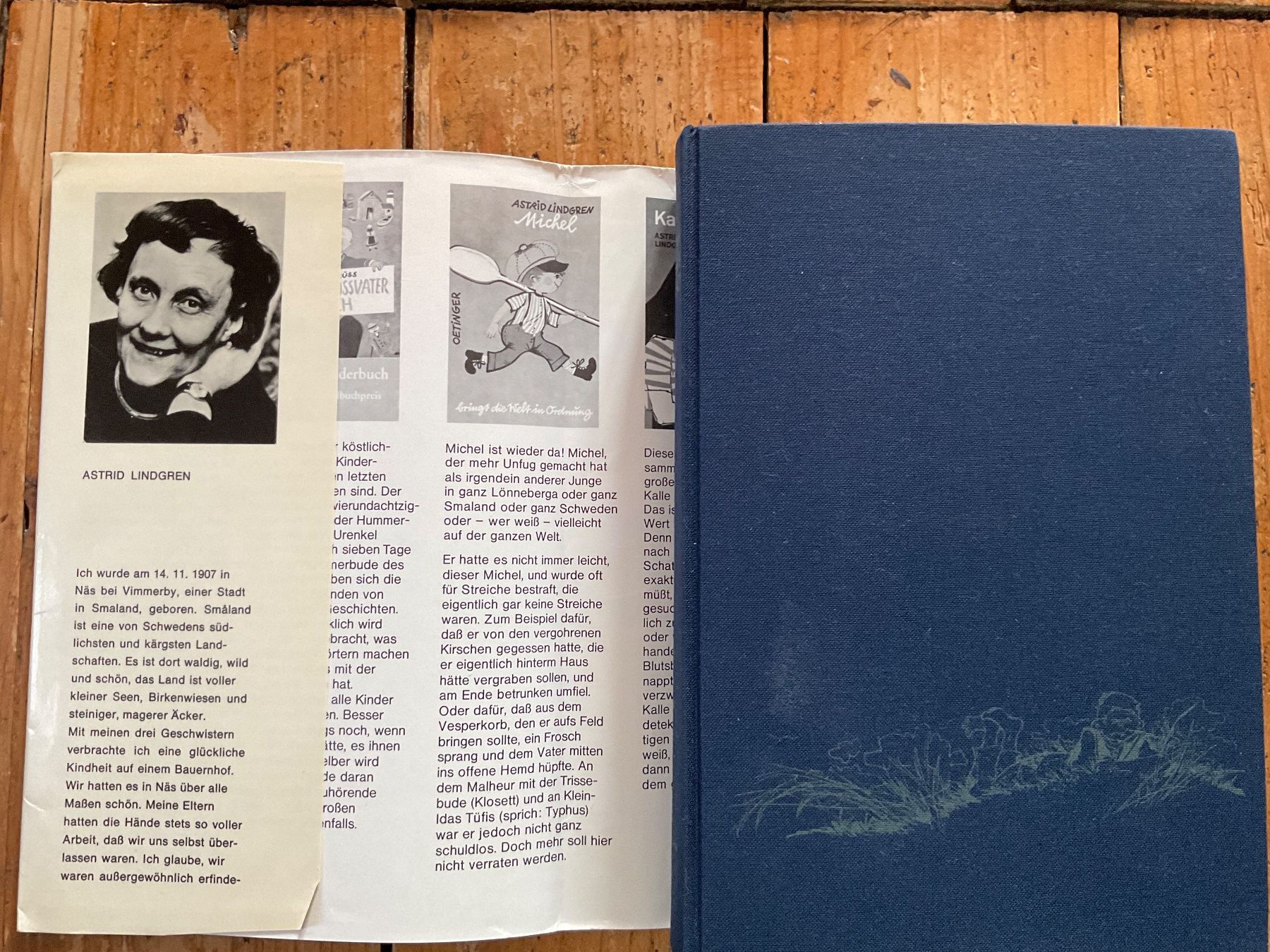 Libri: Astrid Lindgren erzählt – Usato da Breitenbach venduto da geni014 1