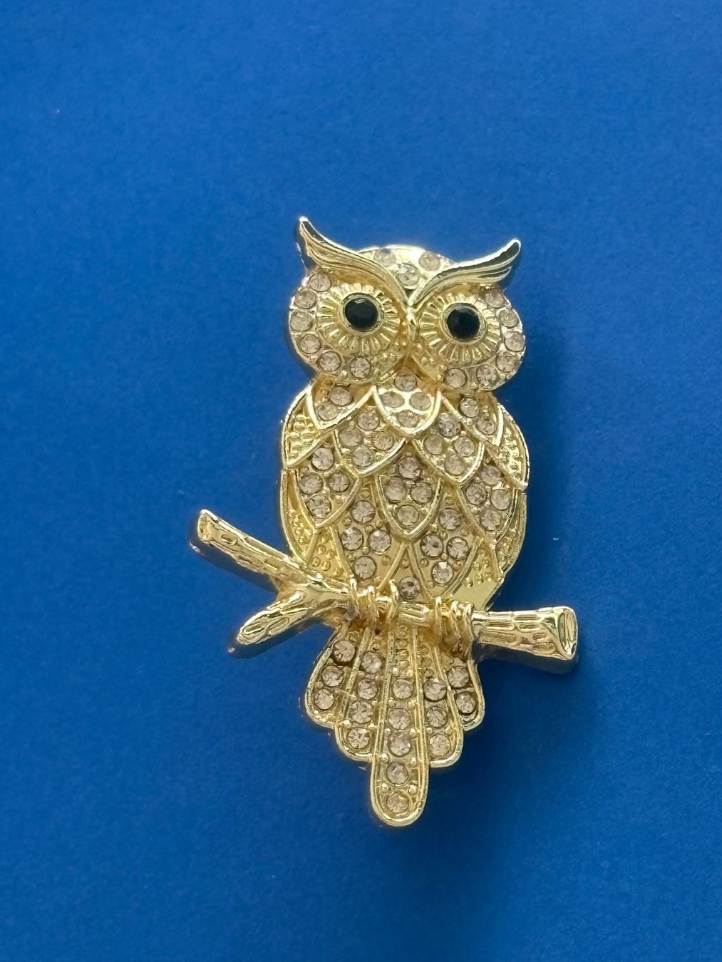 Broschen & Nadeln: Luxus Elegante  Brosche Farbe: Gold/ braun – Neu (gemäss Beschreibung) aus Biel-Bienne von Roserosse13 1