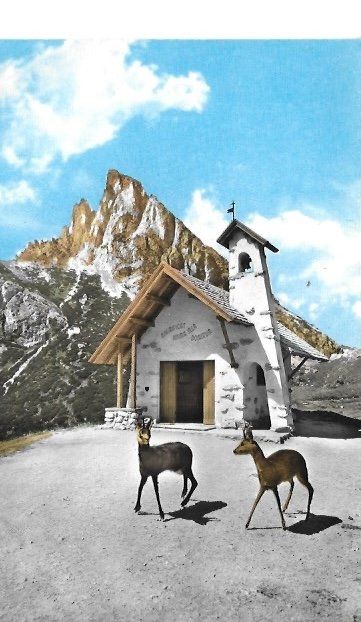 Cartoline postali: Falzarego-Pass mit Hexenstein (Dolomiten) – Nuovo (secondo la descrizione) da Altstätten SG venduto da alpalfa