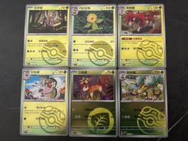 Gem Pack 6er Pokémon Karten Pack CN 