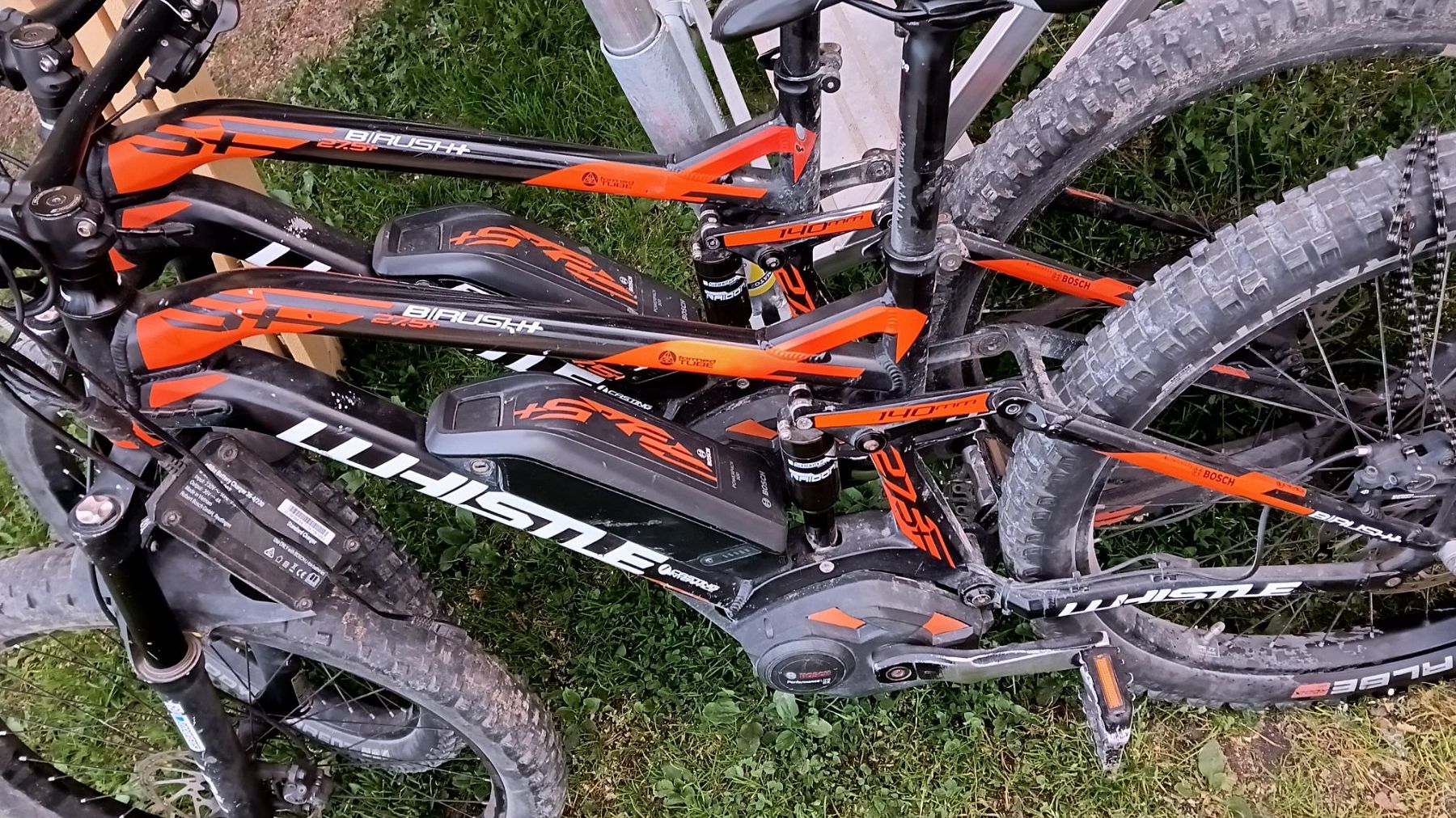 Biciclette: Whistle Birush E-Bike Elektrovelo – Usato da Wattenwil venduto da Pistenbullypolar 1