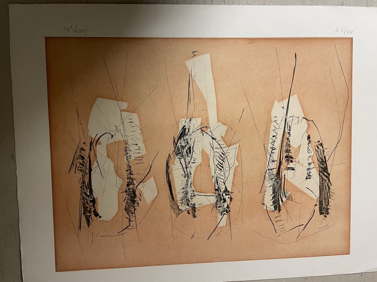 Grafica & Litografie: Oscar WiggliL Litho – Usato da Hindelbank venduto da chinok01