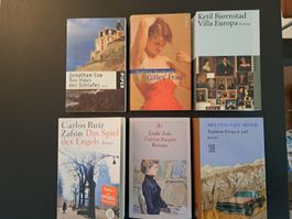 Roman 6 Stk. / Mehrere Romane / Sammlung Romane / Set Romane