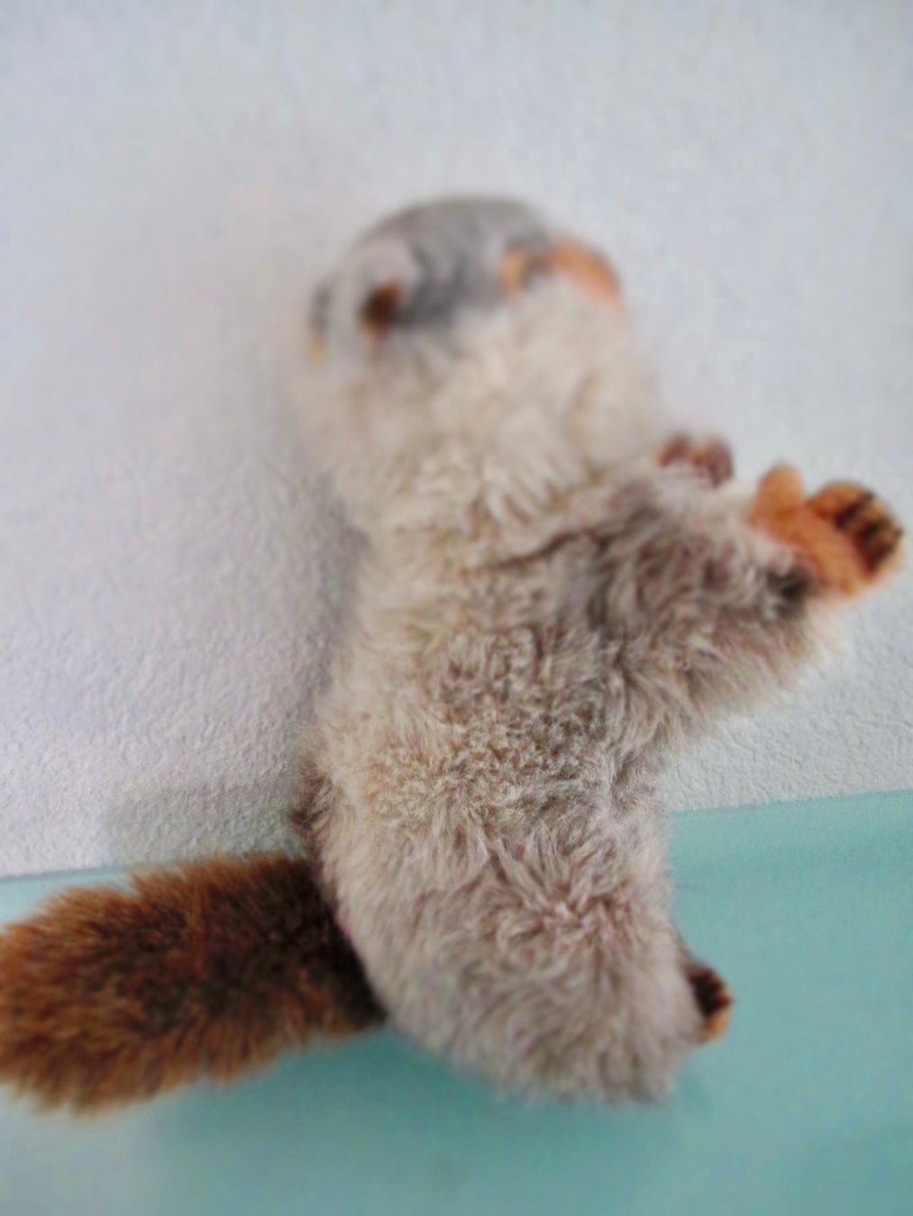 Steiff Giocattoli: GRANDE MARMOTTE ANCIENNE STEIFF – Usato da Murten venduto da Selliot 2