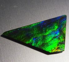 17  Karat Natural funky GEM Ammolite AAA!