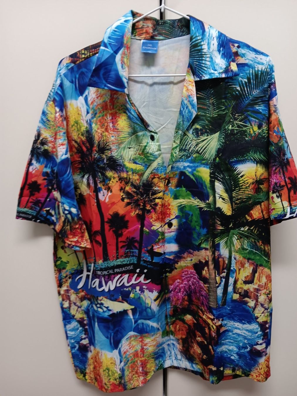 Chemises: Hawai Hemd – Neuf (Voir description) à Büsingen par Flohminator