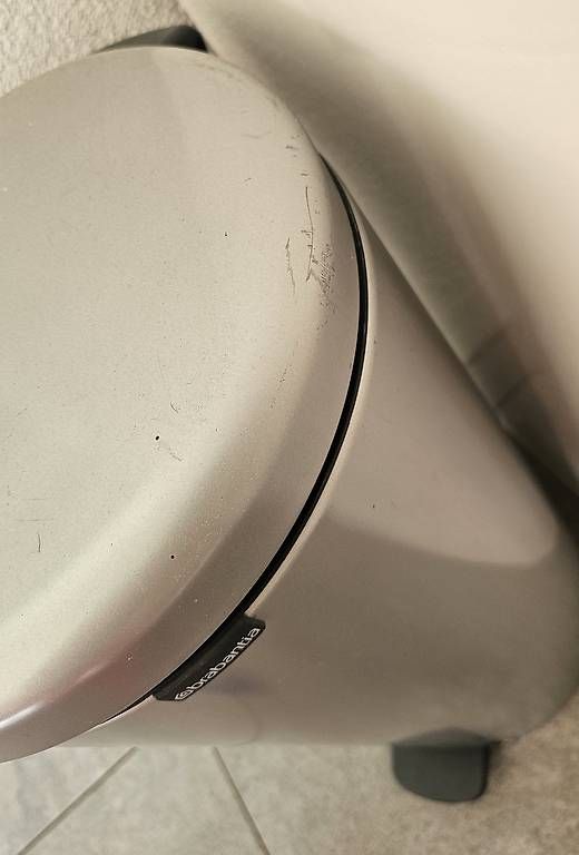 Cestini per rifiuti: Brabantia Treteimer/Abfalleimer Silber 30 Liter – Usato da Kreuzlingen venduto da nilguen