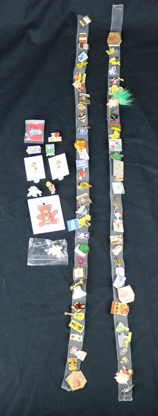Placchette & Badge: Sammlung an Pins – Usato da Volketswil venduto da brockipfannenstil