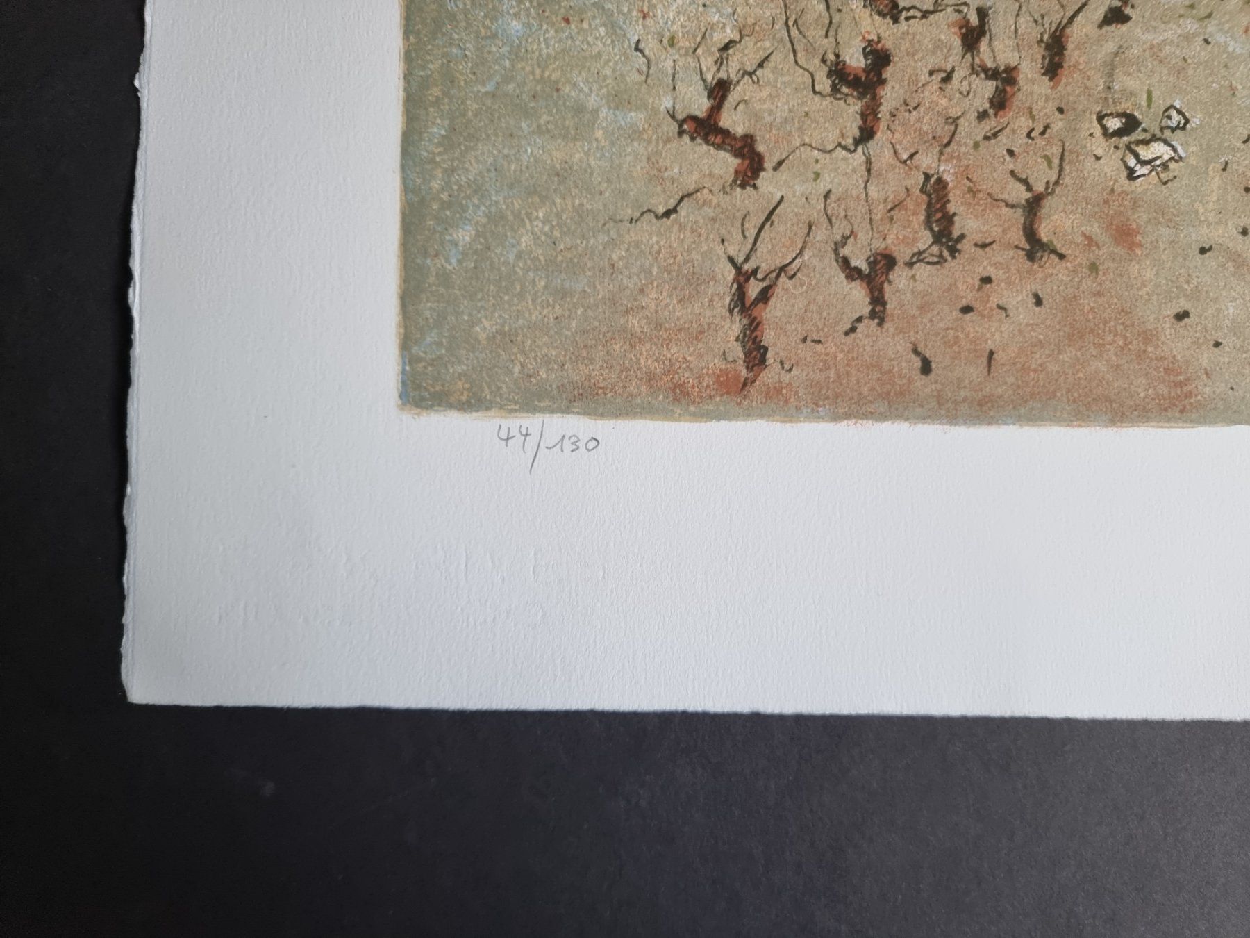 Grafica & Litografie: MARCO RICHTERICH LITHOGRAPHIE SIGNIERT NUMMERIERT – Usato da Gersau venduto da grafik-kunst 5