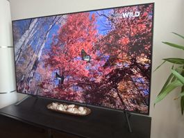 Samsung TV UE55AU7190U 55 Zoll gebraucht funktionsfähig