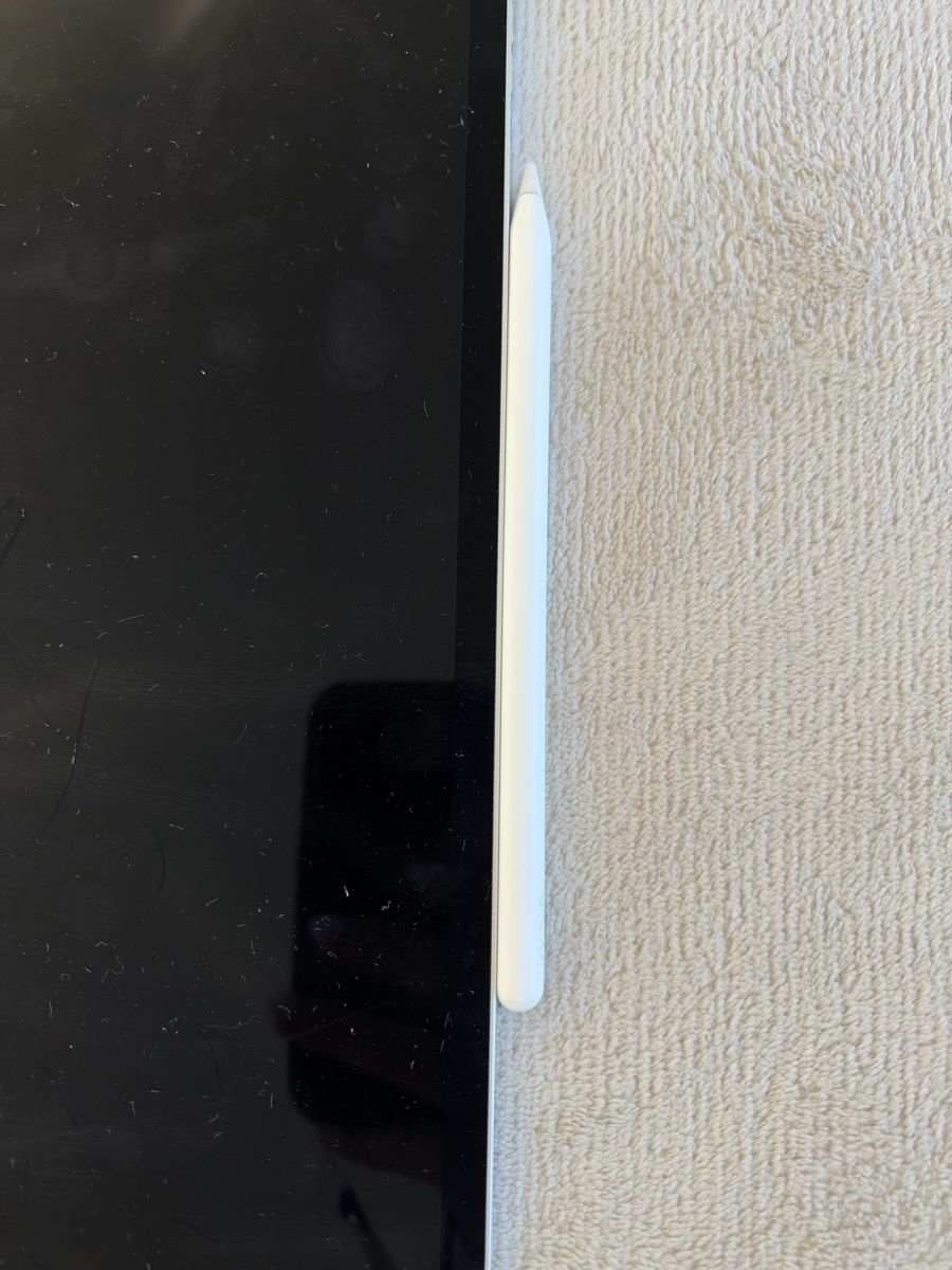Apple Tablet PC: iPad Pro (12.9 inch) 5th Generation – Gebraucht aus Appenzell Meister. von marzbar8 1