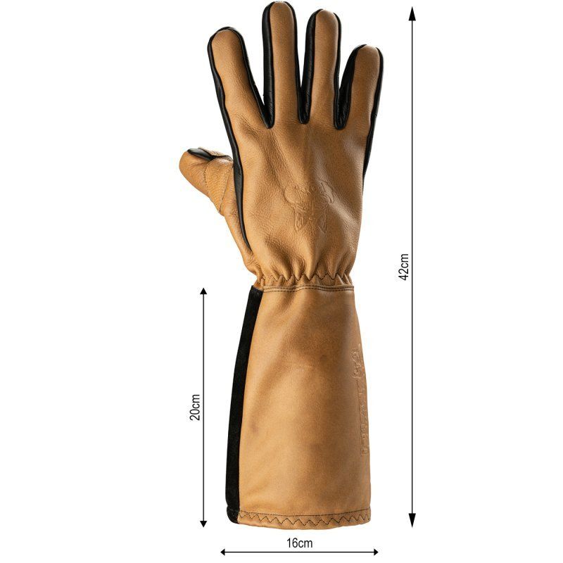Handschuhe & Handstulpen: BLACK FOREST FOX EPOS 300 Aramid Grillhandschuhe Hellbraun – Neu und originalverpackt aus Steffisburg von fellgerber 2