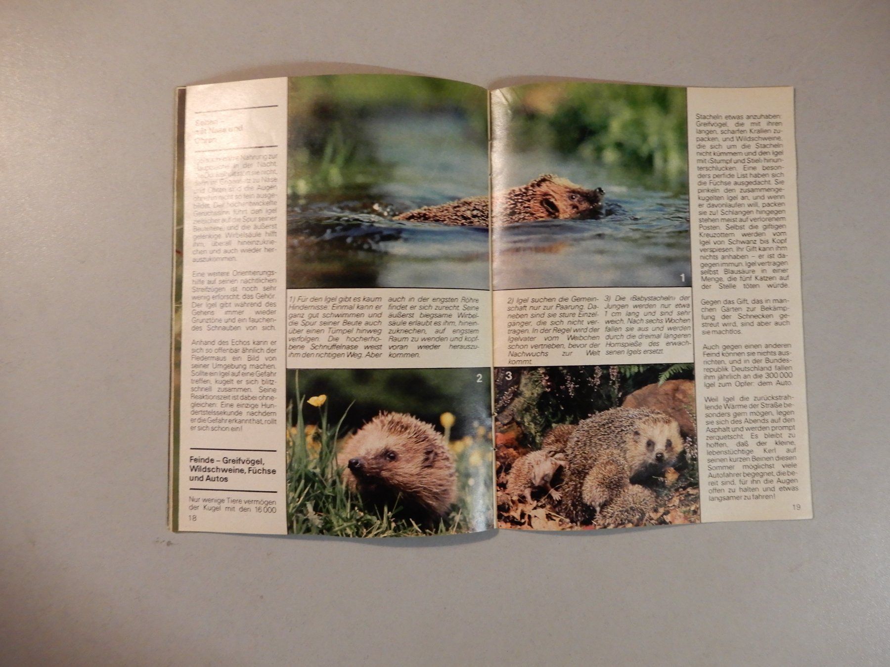 Riviste & Magazine: JUNIOR Kindermagazin, Mai 1982, Nr. 5 – Usato da Erstfeld venduto da Mario_boe0 6