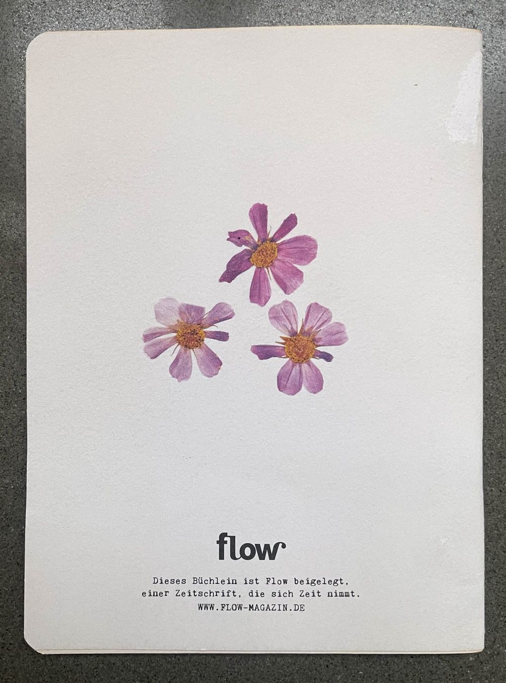 Kit bricolage: Herbarium DIY Flow Magazin – Nuovo (secondo la descrizione) da Zofingen venduto da angito 4