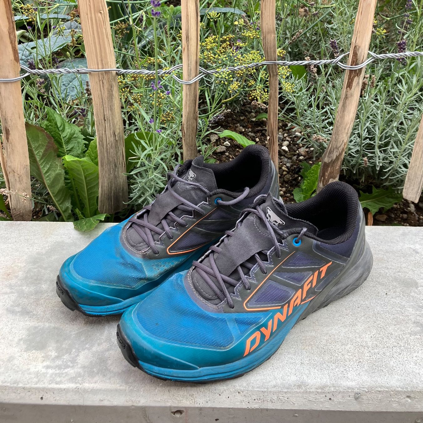 Dynafit Scarpe da uomo: DYNAFIT Alpine (43) Magnet Frost – Usato da Altstätten SG venduto da postmodern7