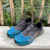 DYNAFIT Alpine (43) Magnet Frost - gebraucht