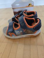 Dino Sandalen Gr. 27