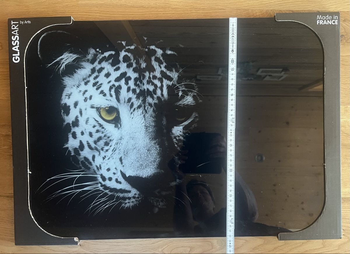 Foto & Immagini: Glasbild Leopard- Neuwertig! – Nuovo (secondo la descrizione) da Derendingen venduto da Laubfleckerli 1