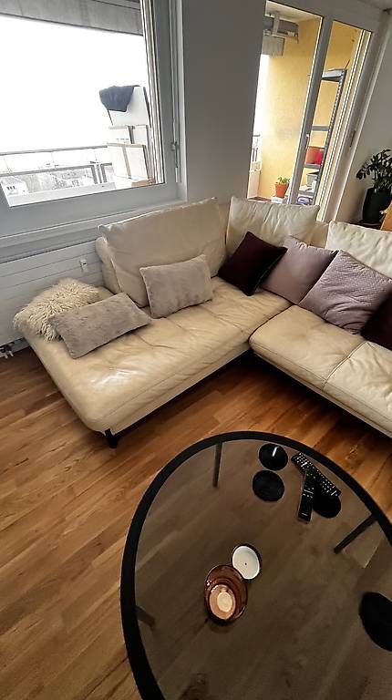 Divani: Canapé Roche Bobois – Usato da Neuchâtel venduto da tst_k8xv 4